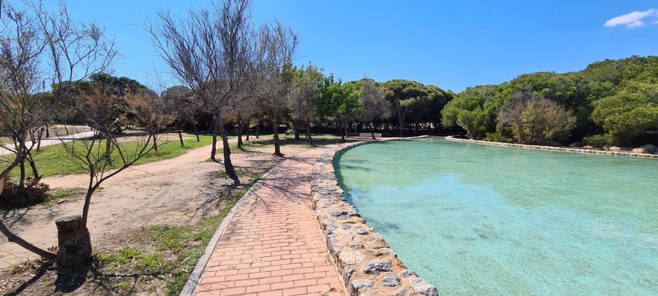 Sofia La Mata Apartment La Mata  Bagian luar foto