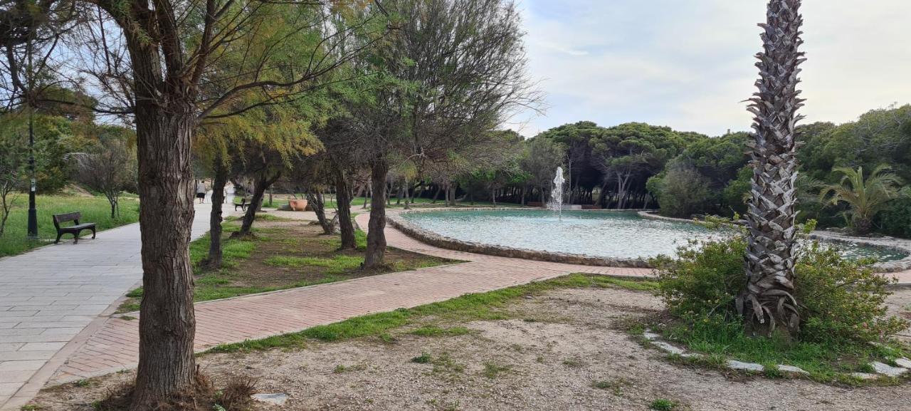 Sofia La Mata Apartment La Mata  Bagian luar foto